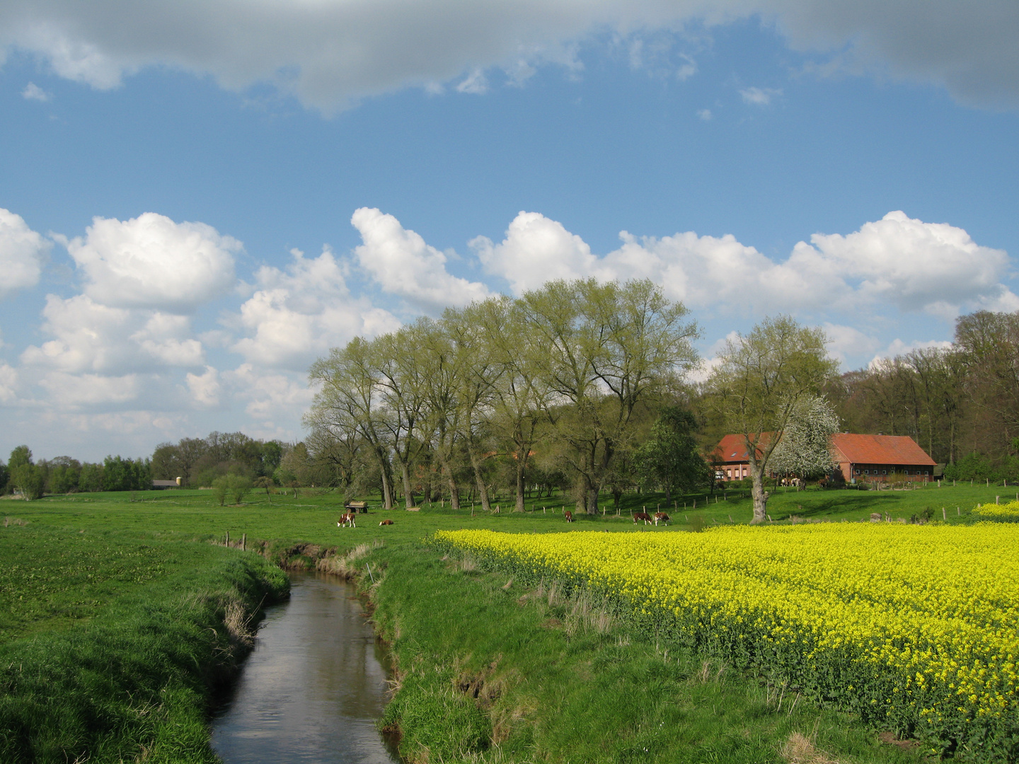 am Klosterbach bei Kastendiek