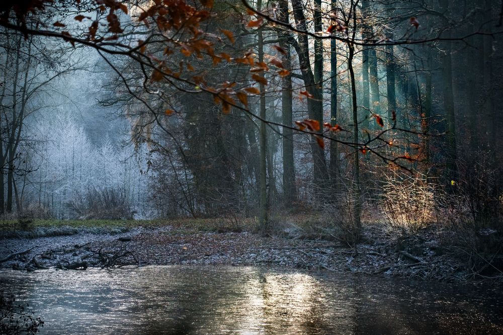 Am Klosterteich