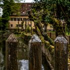 Am Klosterweiher