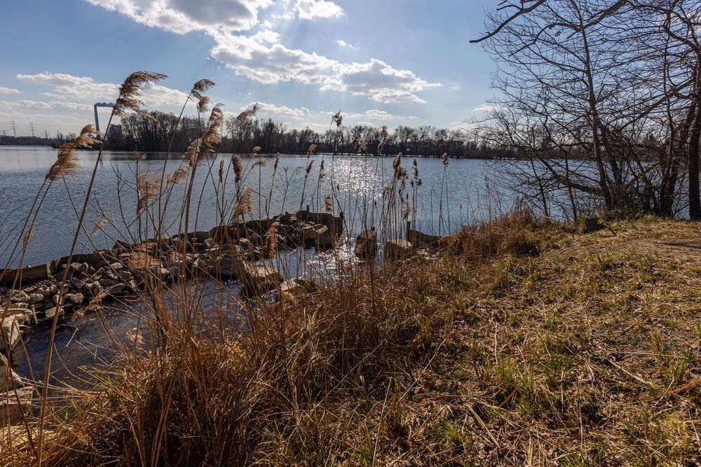 Am Knielinger See 