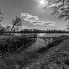 Am Knielinger See 