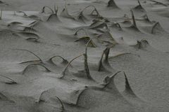 am Kniepsand auf Amrum