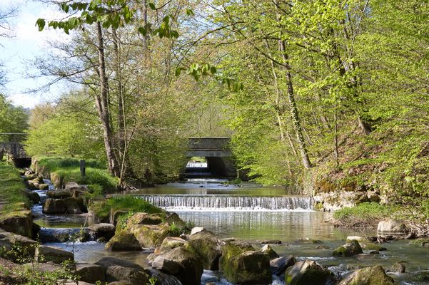 Am Knochenbach in Detmold