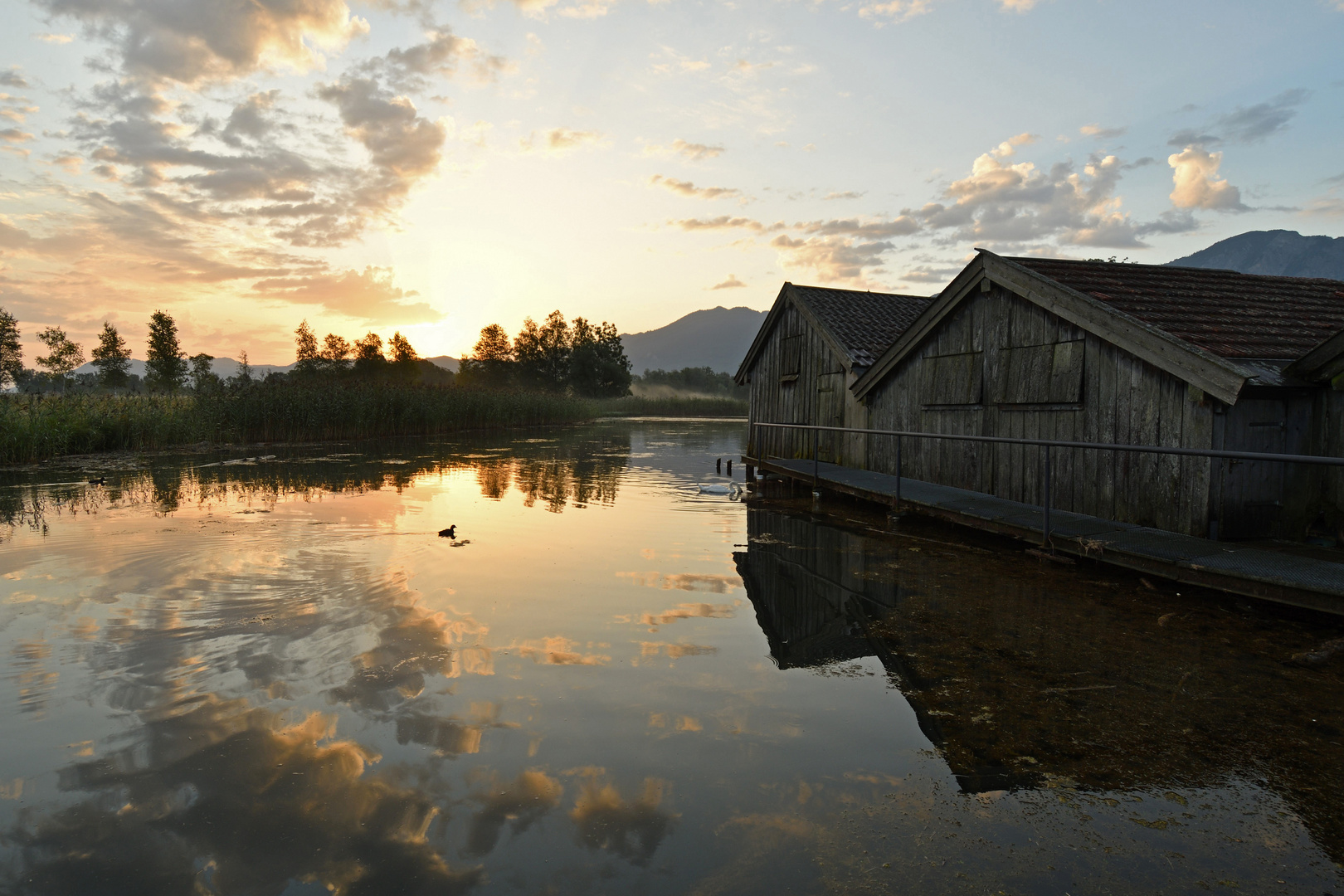 Am Kochelsee