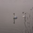 Am Kochelsee 1