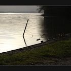 Am Kochelsee (2)