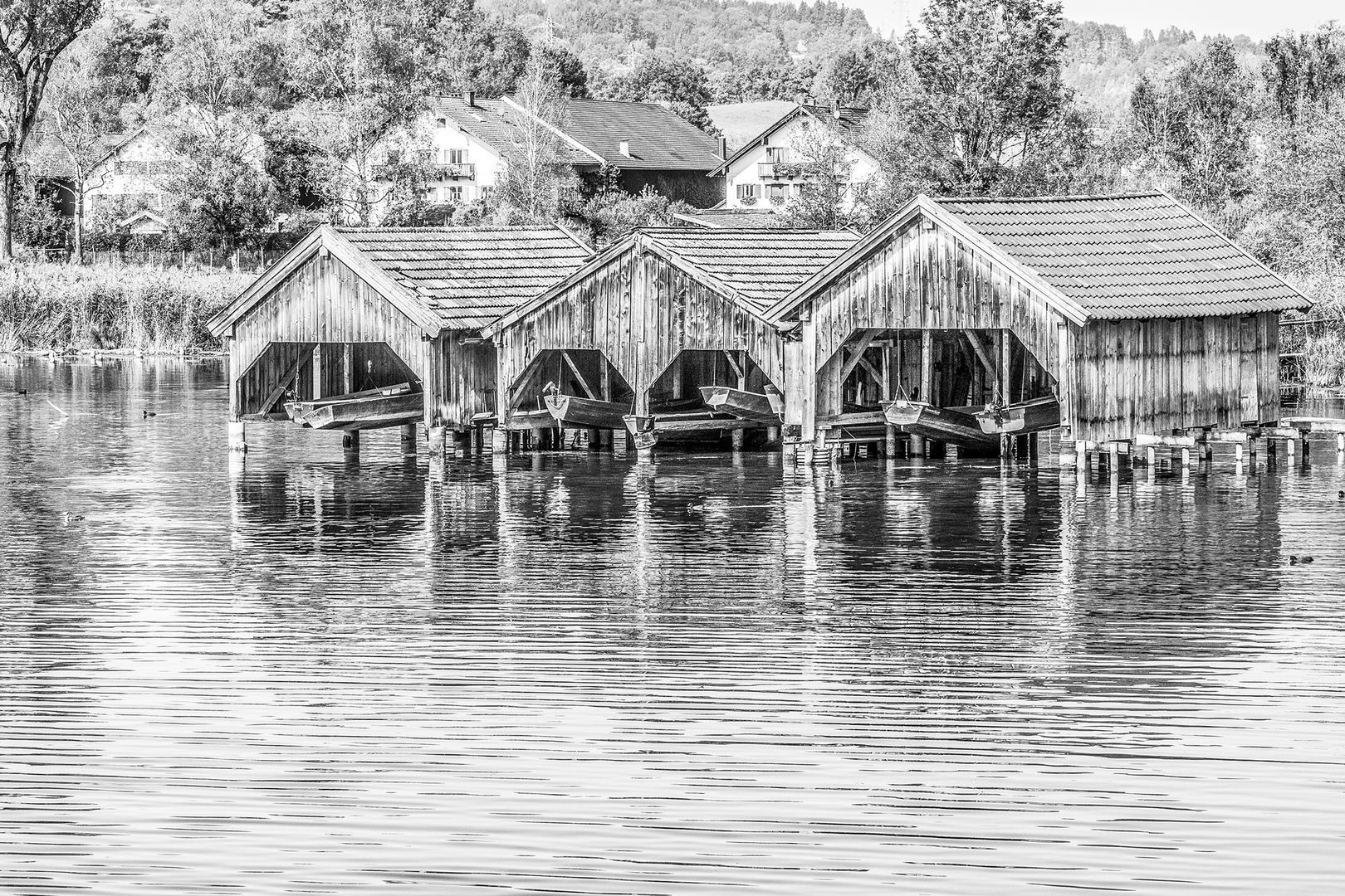 Am Kochelsee