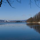 Am Kochelsee