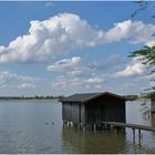 Am Kochelsee