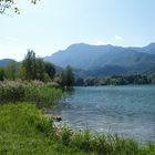 ...am Kochelsee (II)