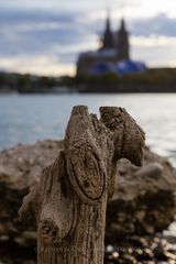 Am Kölner Strand (3)