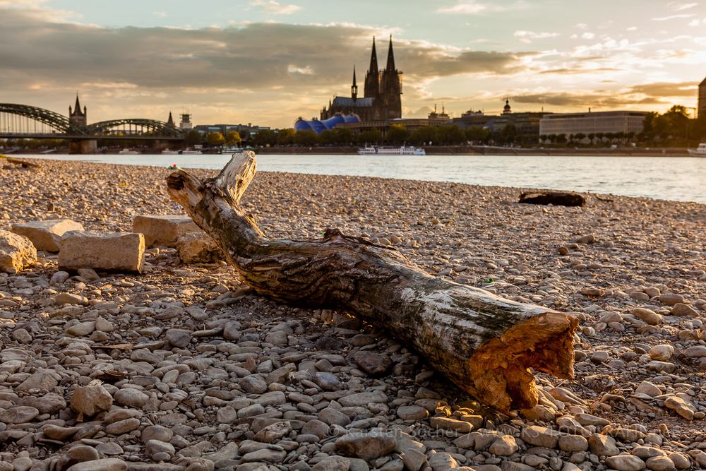 Am Kölner Strand (5)