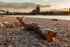 Am Kölner Strand (5)