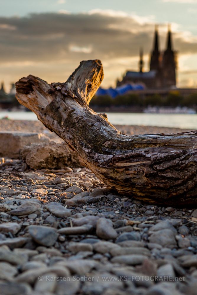 Am Kölner Strand (6)