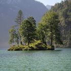 Am Königsee