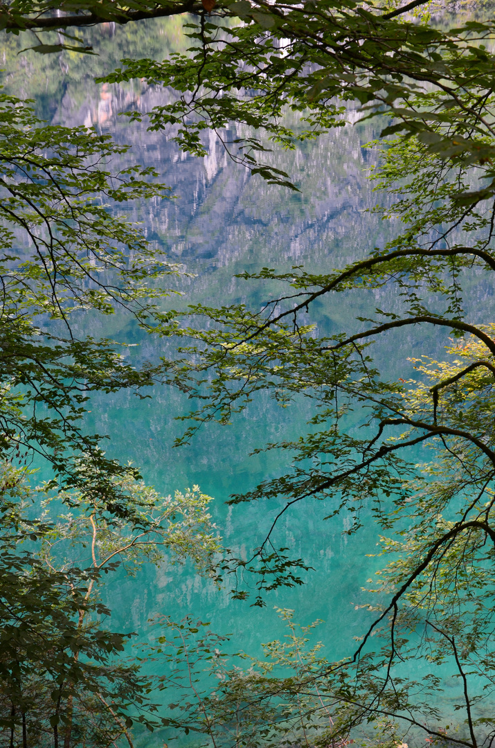 Am Königsee II