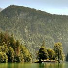 Am Königssee 