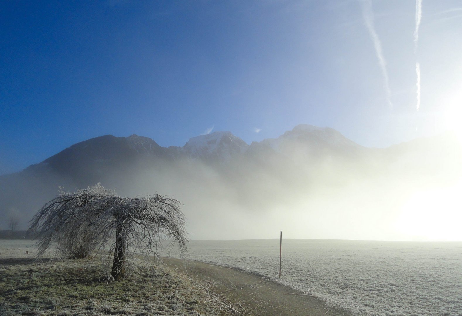 Am Königssee