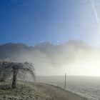 Am Königssee