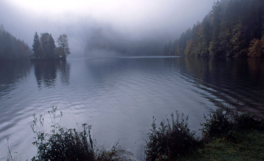 Am Königssee