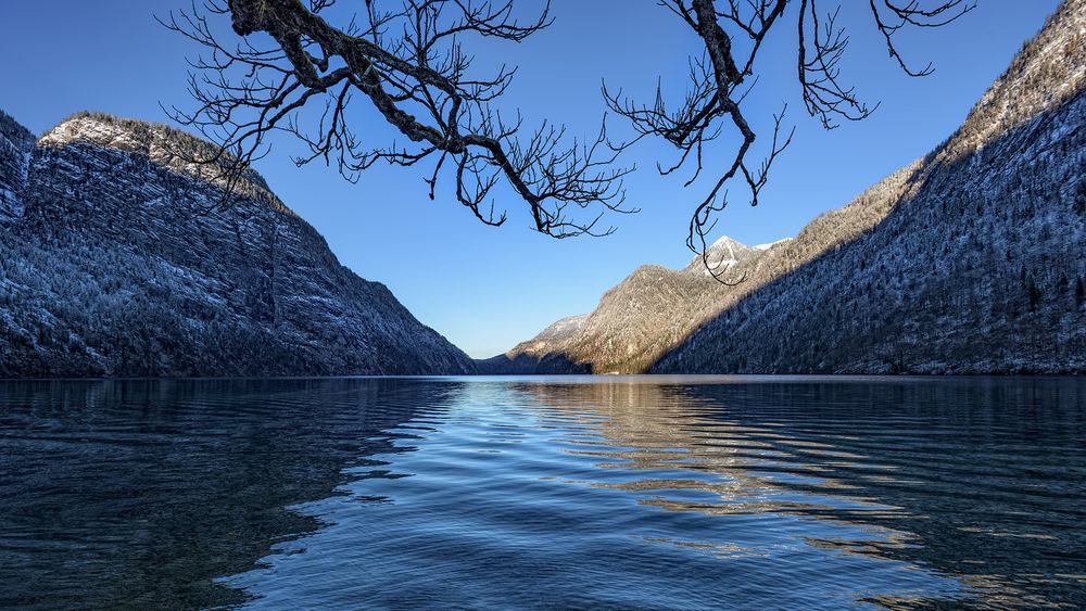 am Königssee