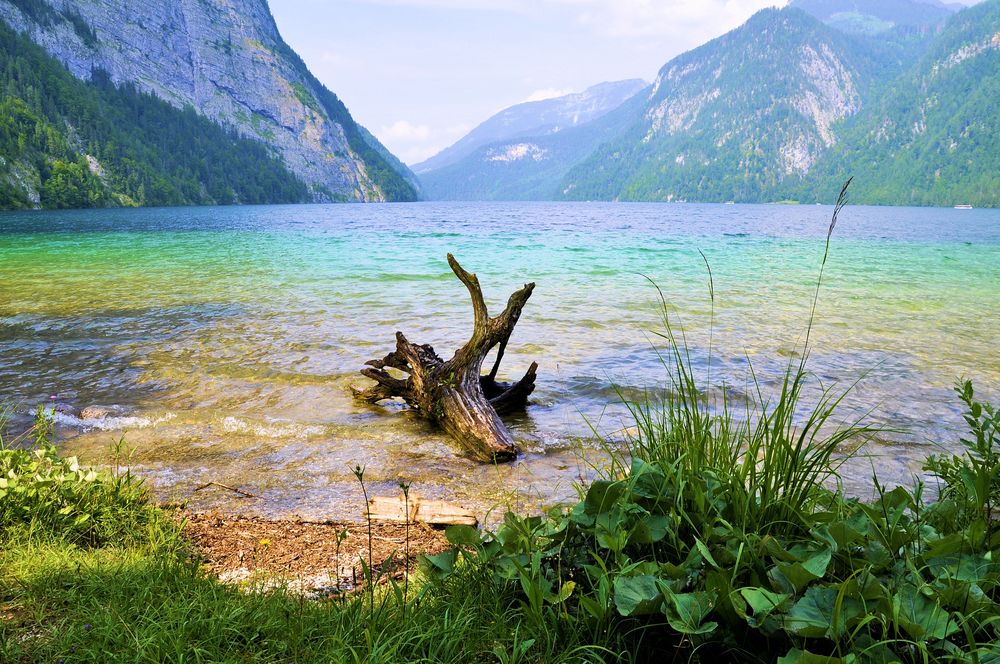 am Königssee