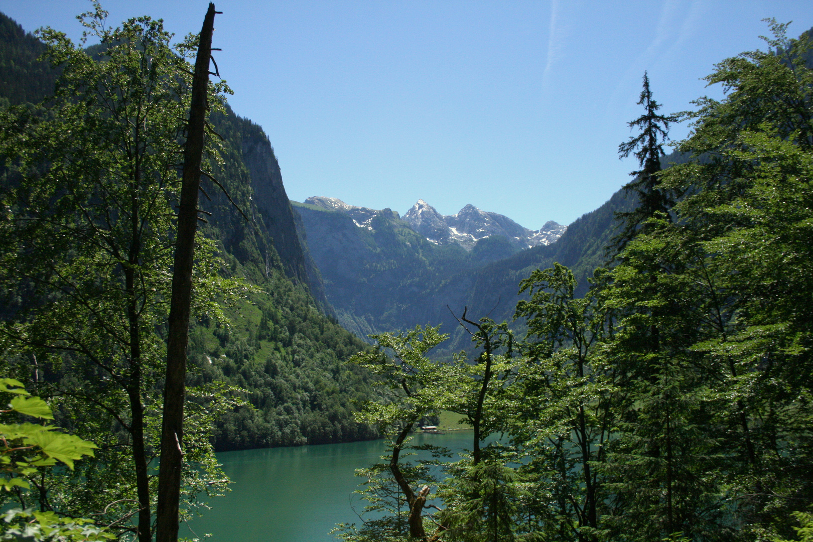 am Königssee