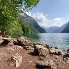 Am Königssee