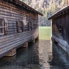 Am Königssee