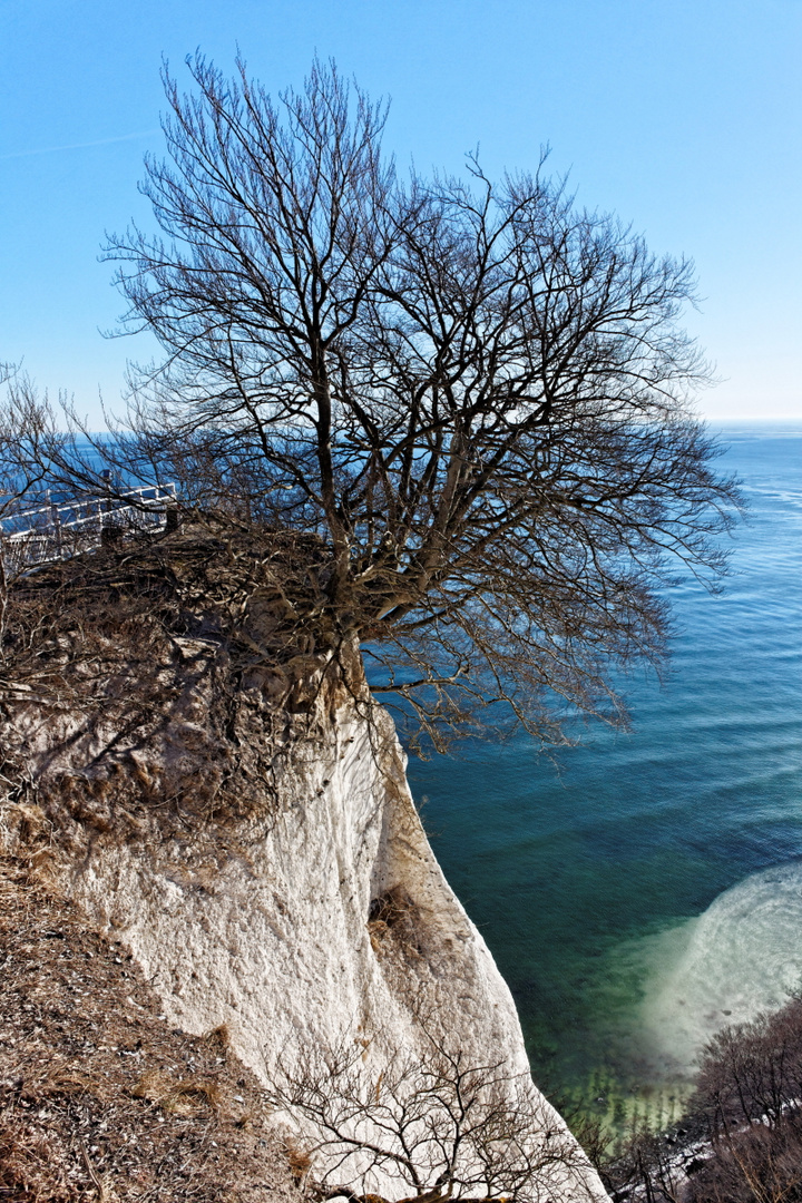 Am Königsstuhl auf Rügen im Winter