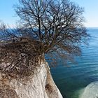 Am Königsstuhl auf Rügen im Winter