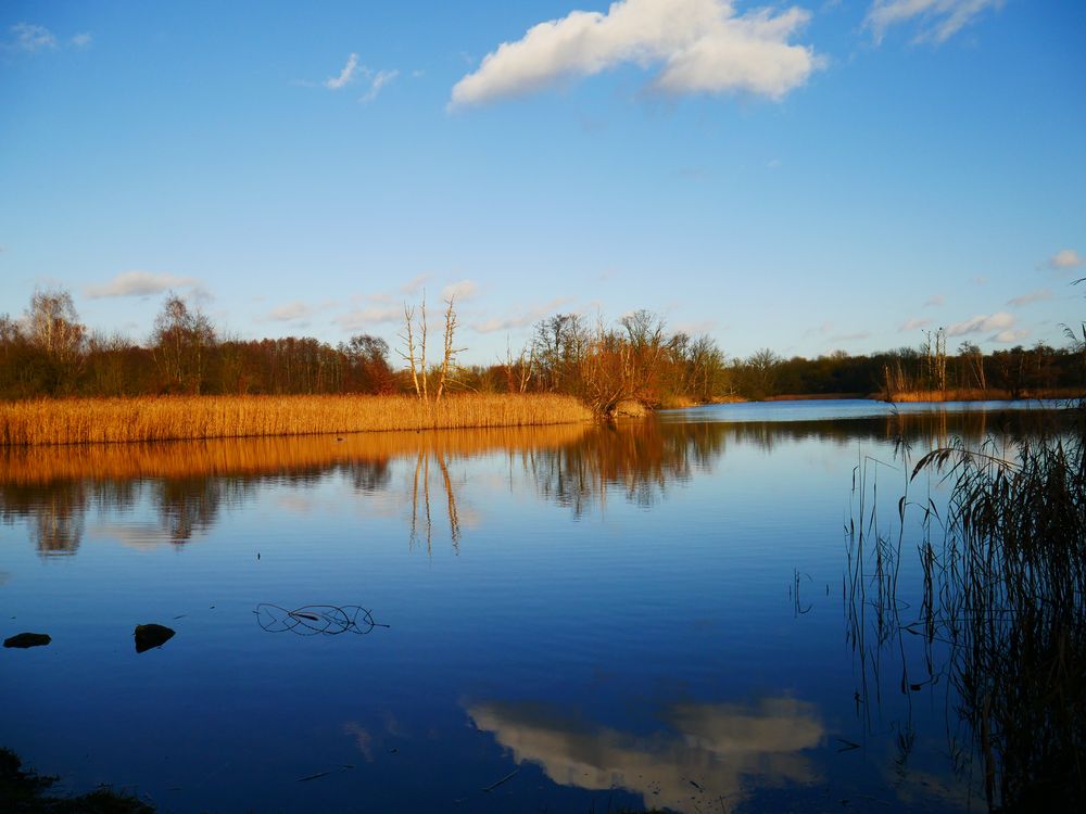 Am Köppchensee