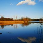 Am Köppchensee