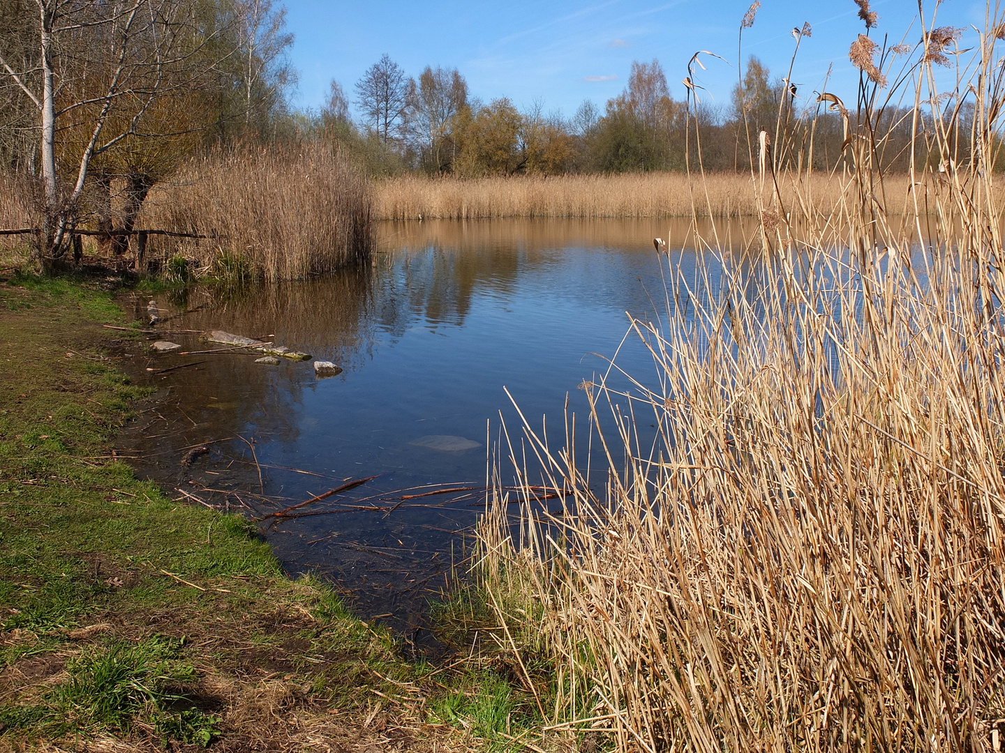 am Köppchensee