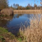 am Köppchensee