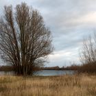 am Koldinger See