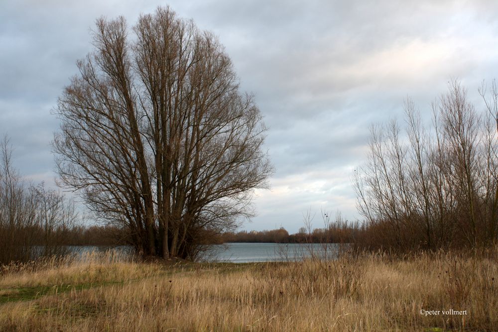 am Koldinger See