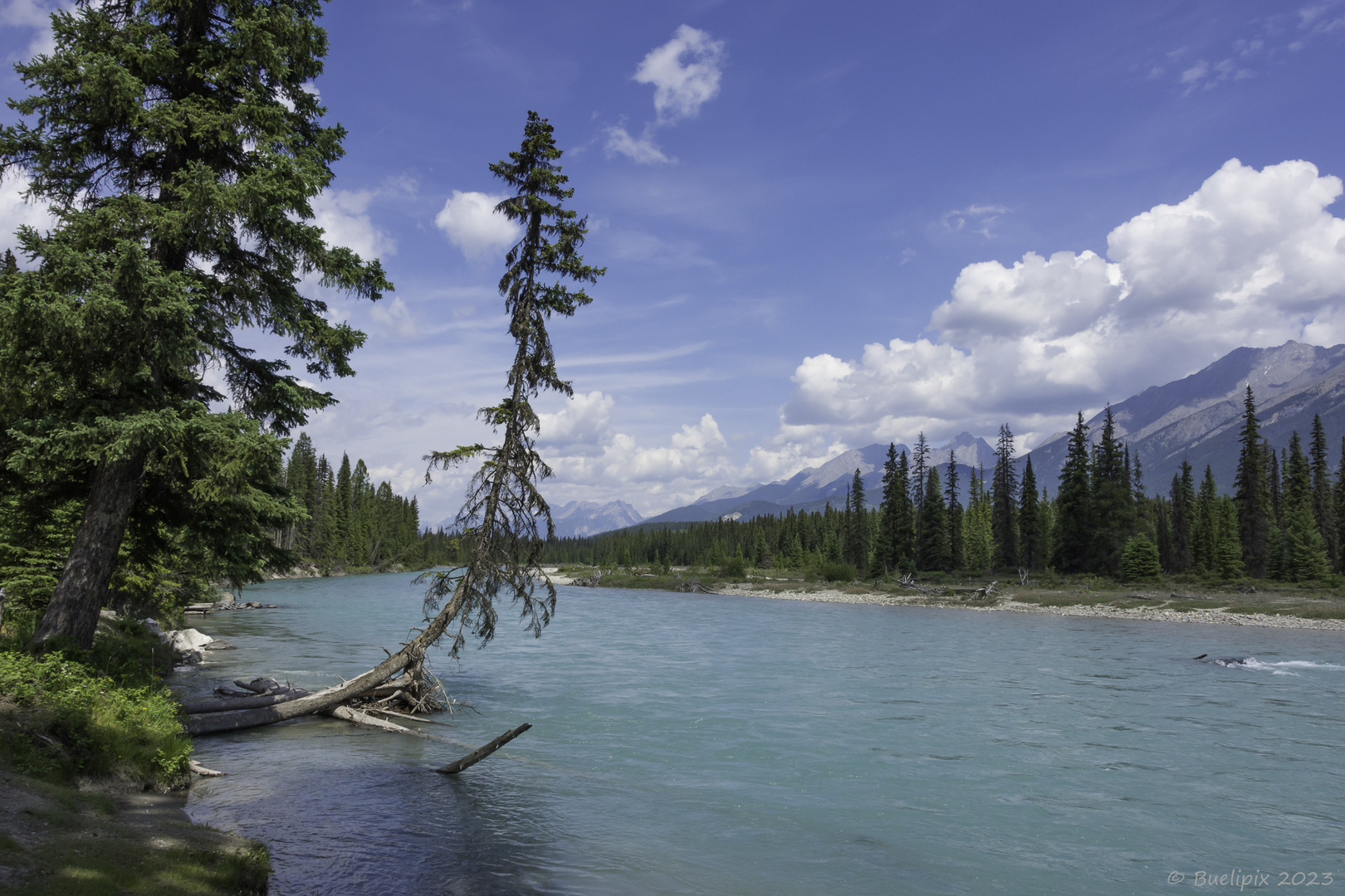 am Kootenay River (© Buelipix)