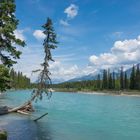 am Kootenay River (© Buelipix)