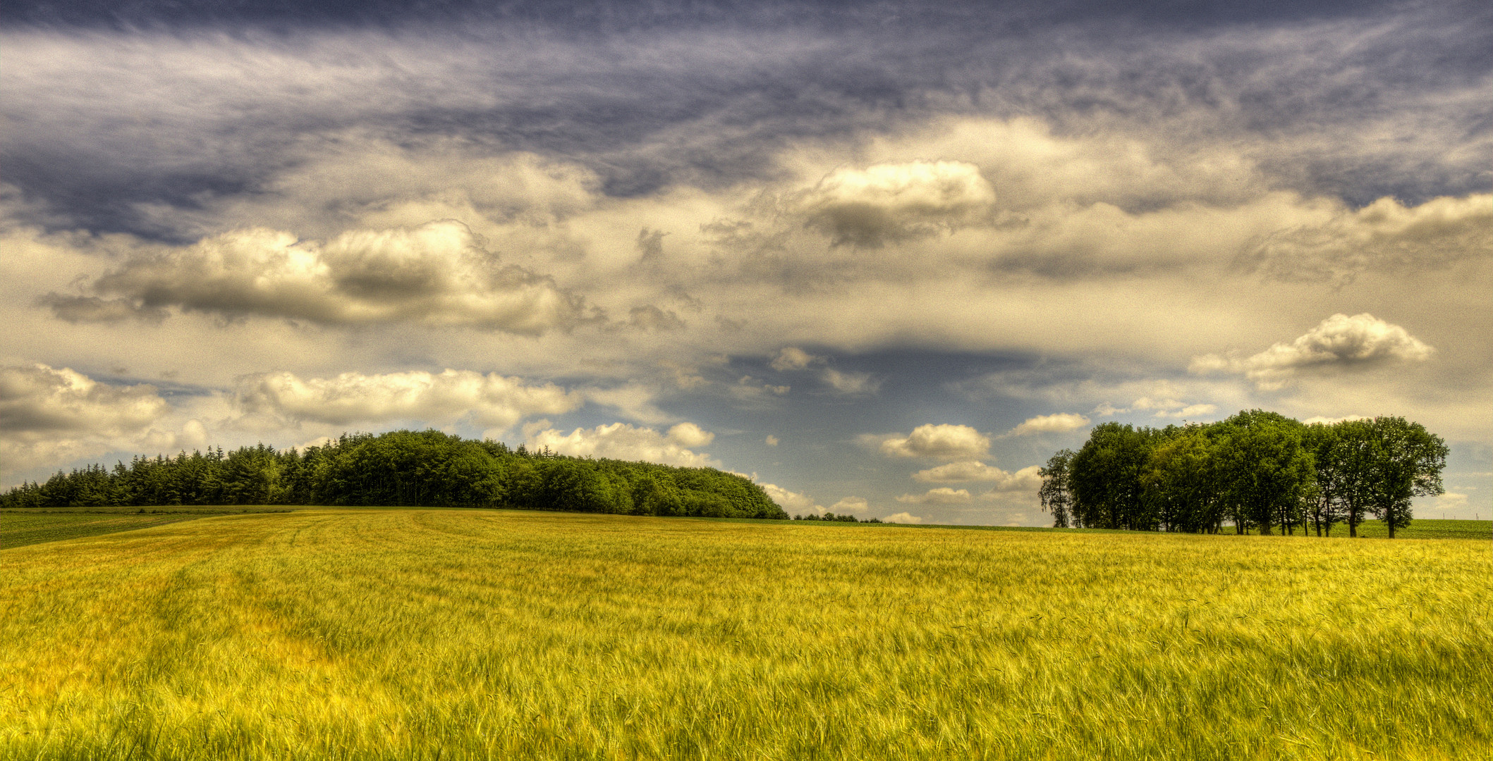 Am Kornfeld