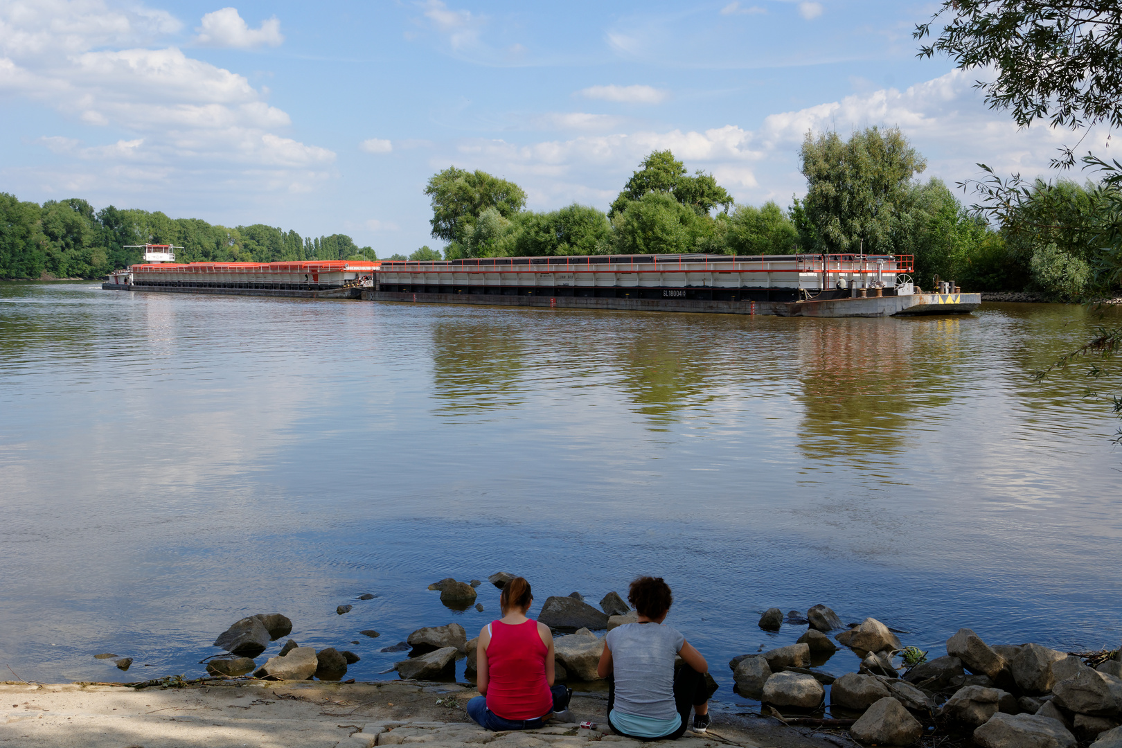 Am Kostheimer Mainhafen (alter Cellulosehafen) 2