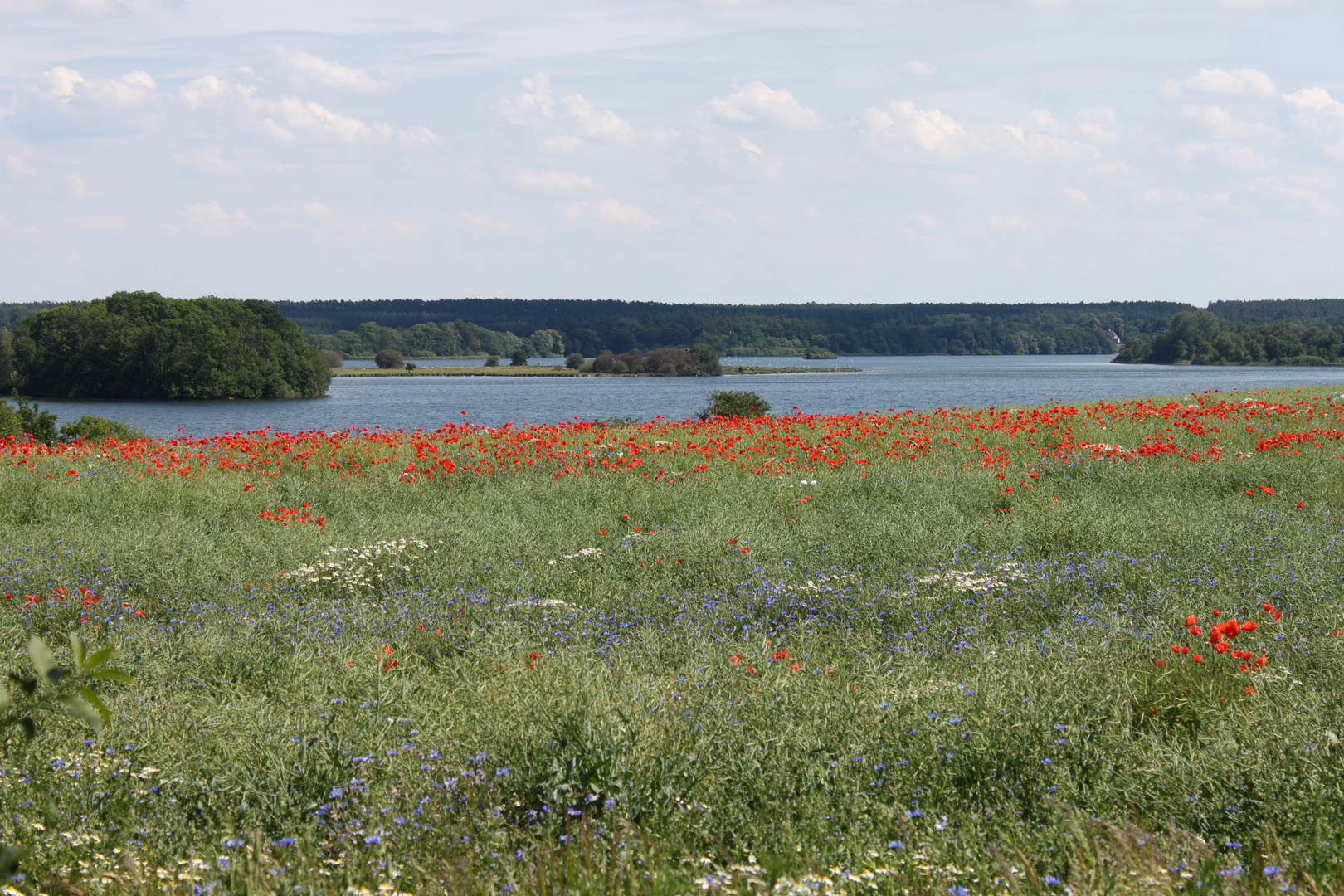 am Krakower See zwischen Möllen und Bossow