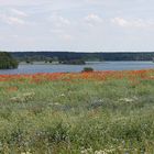 am Krakower See zwischen Möllen und Bossow