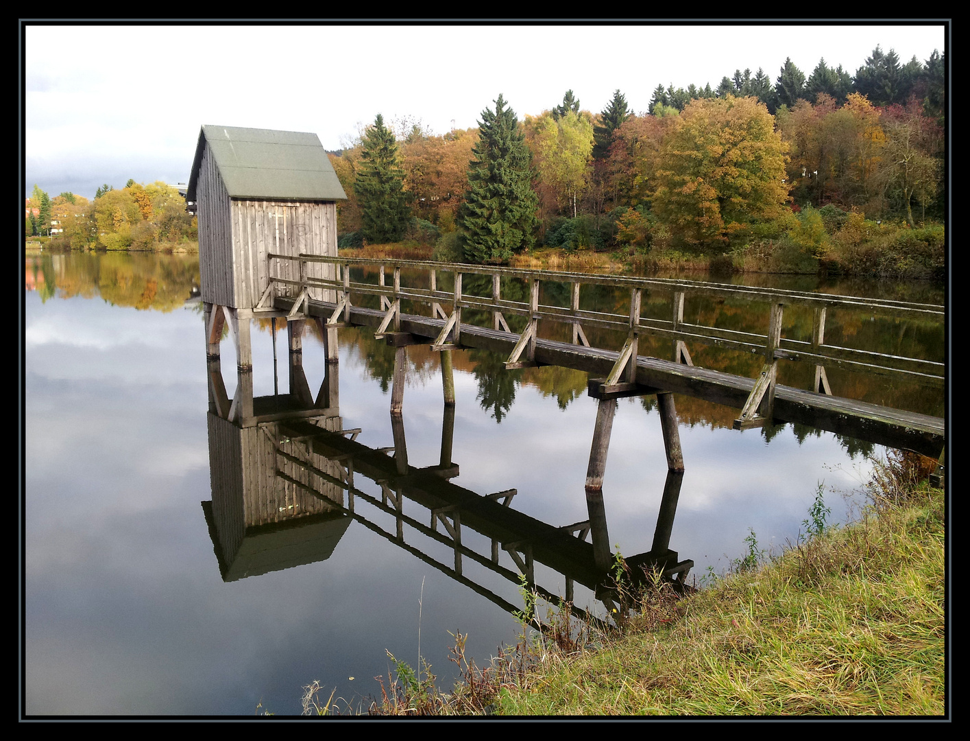 Am Kranichsee in Hahnenklee/Harz