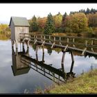 Am Kranichsee in Hahnenklee/Harz