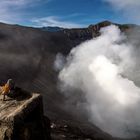 Am Krater des Mount Bromo