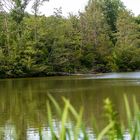 Am Kreuzbergsee in Tiefenbach