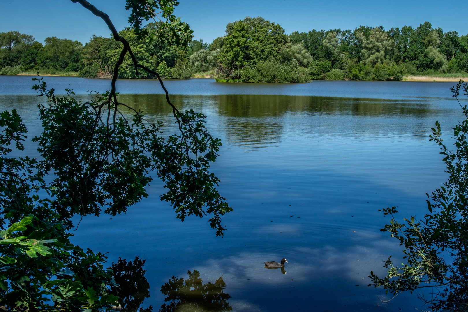 am Kreuzteich II - Braunschweig-Riddagshausen