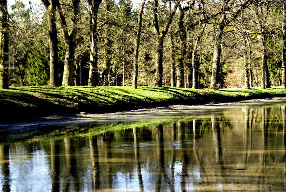 am Kreuzweiher, Nähe Erlangen