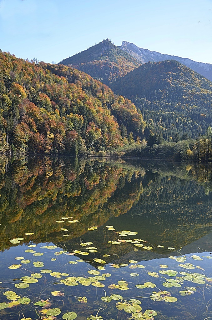 Am Krottensee- St. Gilgen im Salzkammergut-Land Salzburg